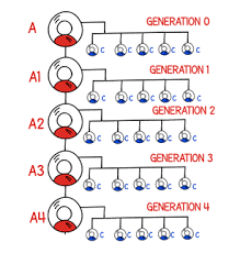 Generation MLM System